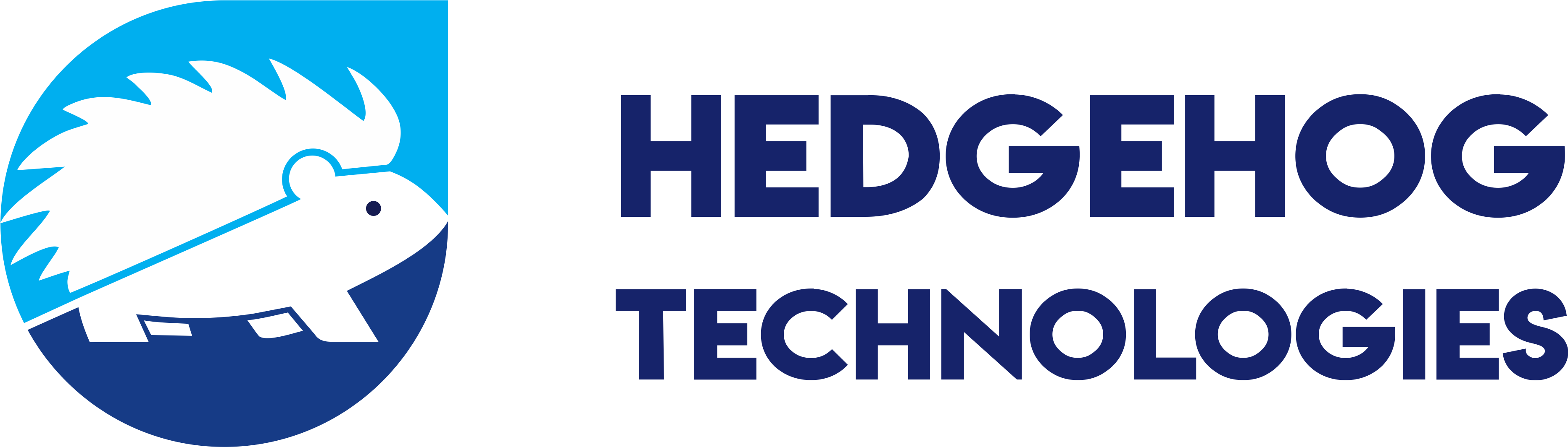 hogtech logo